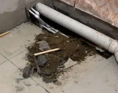 荆州市卫生间漏水检测哪家好