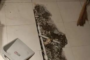 荆州市卫生间漏水检测电话